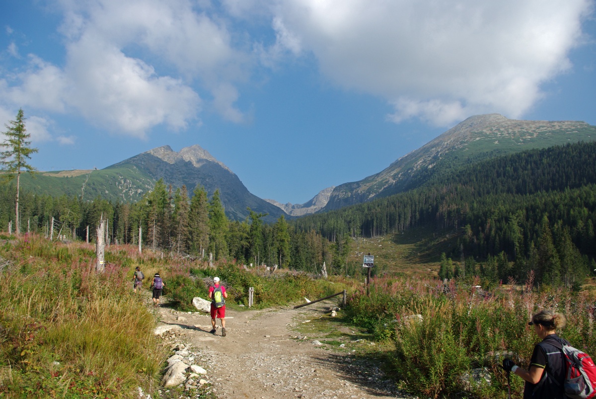 3060 308 Vysoke Tatry