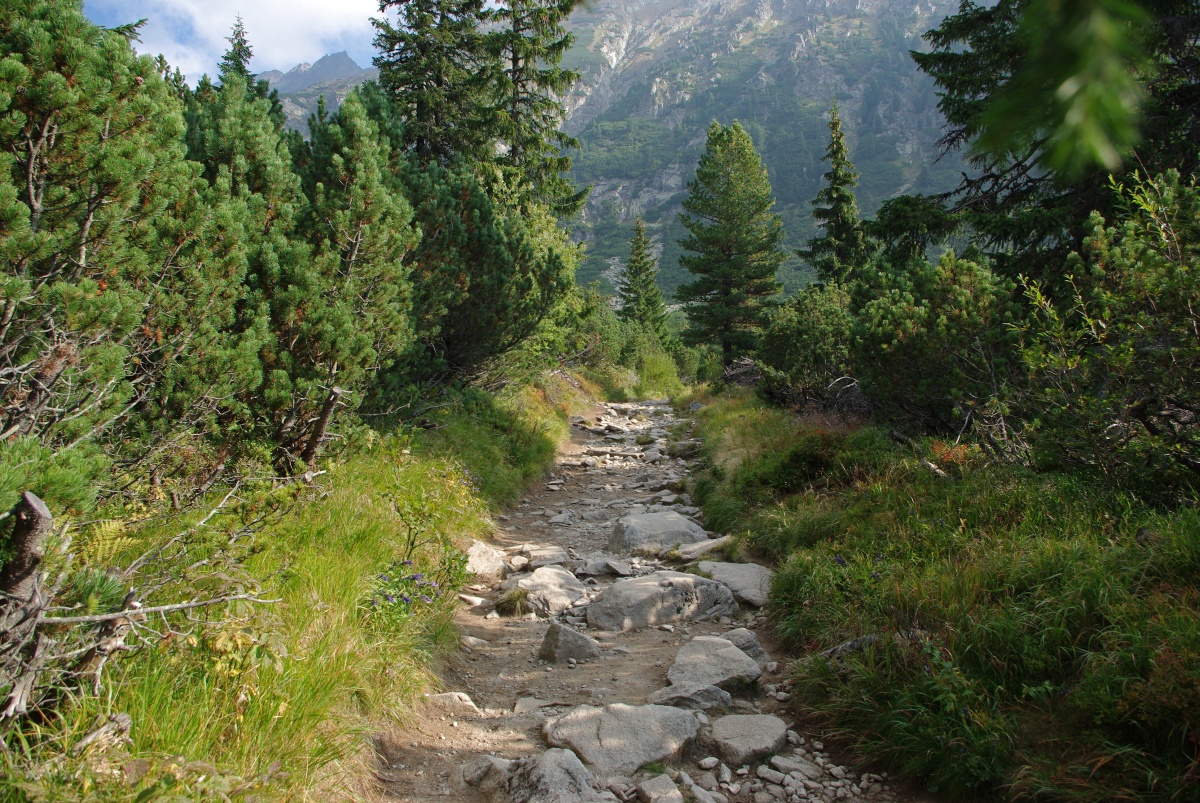 3100 312 Vysoke Tatry
