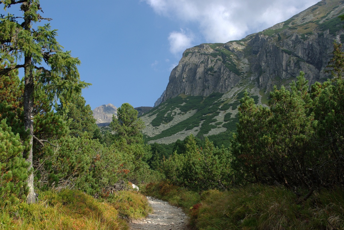 3110 313 Vysoke Tatry
