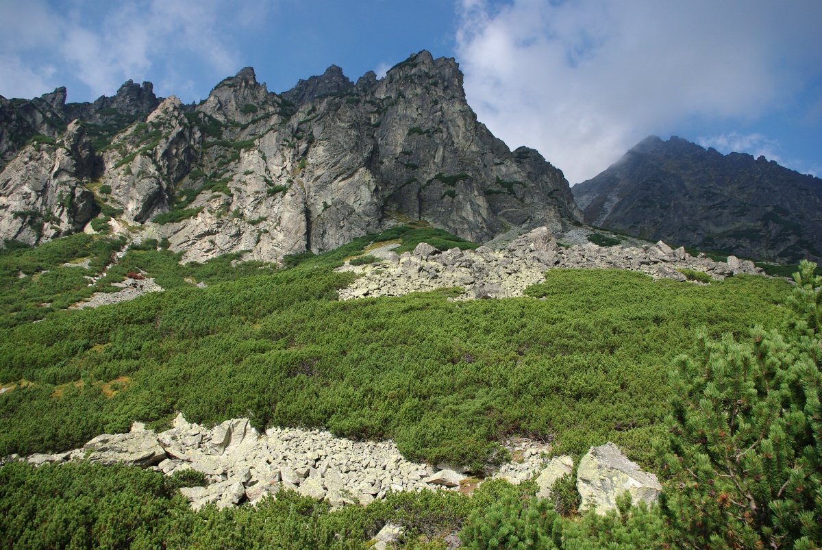 3150 319 Vysoke Tatry