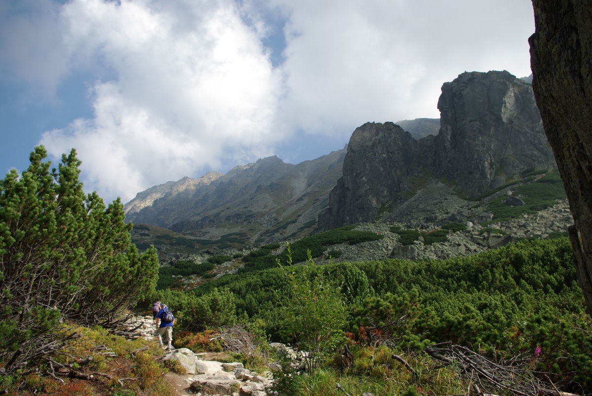 3160 320 Vysoke Tatry