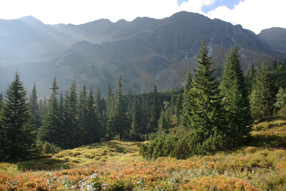 4070 509 Zapadni Tatry - Rohace