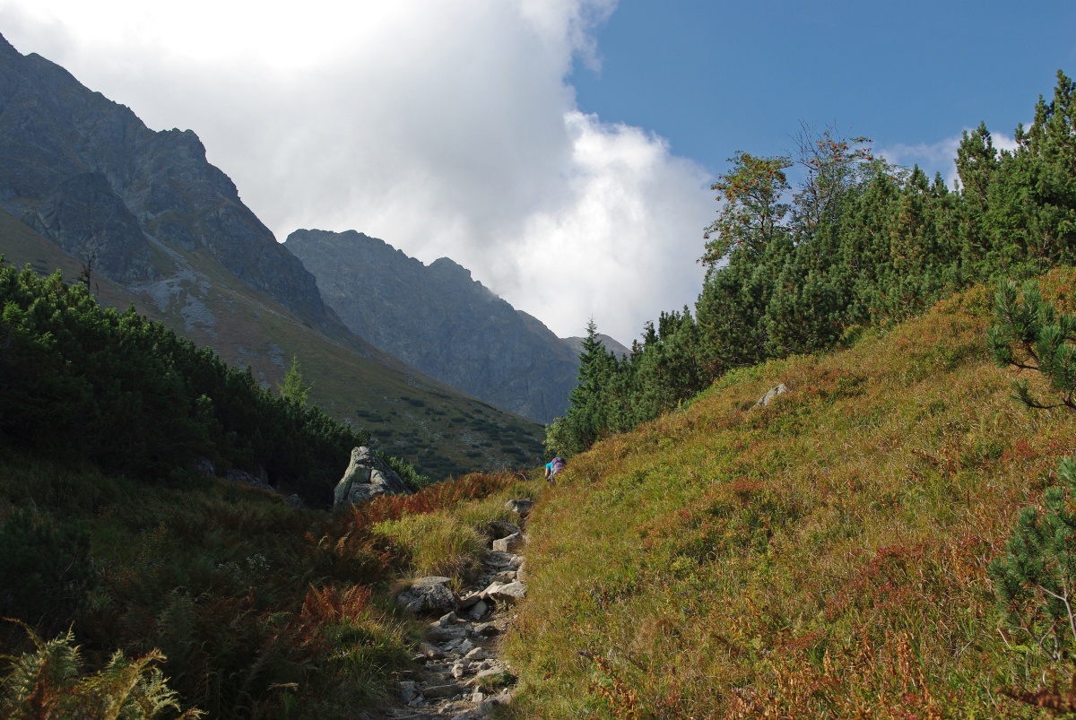 4080 511 Zapadni Tatry - Rohace