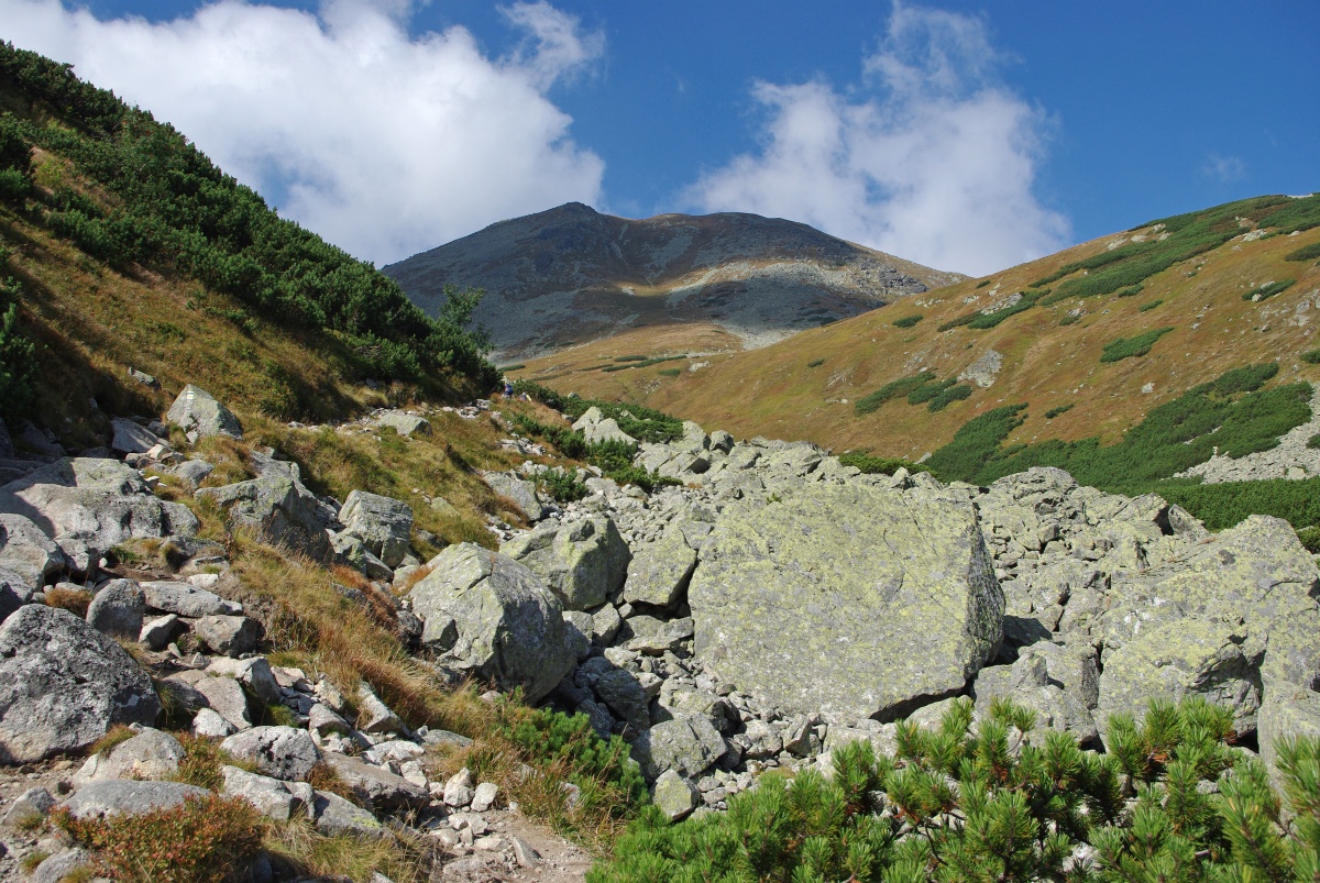 4100 516 Zapadni Tatry - Rohace