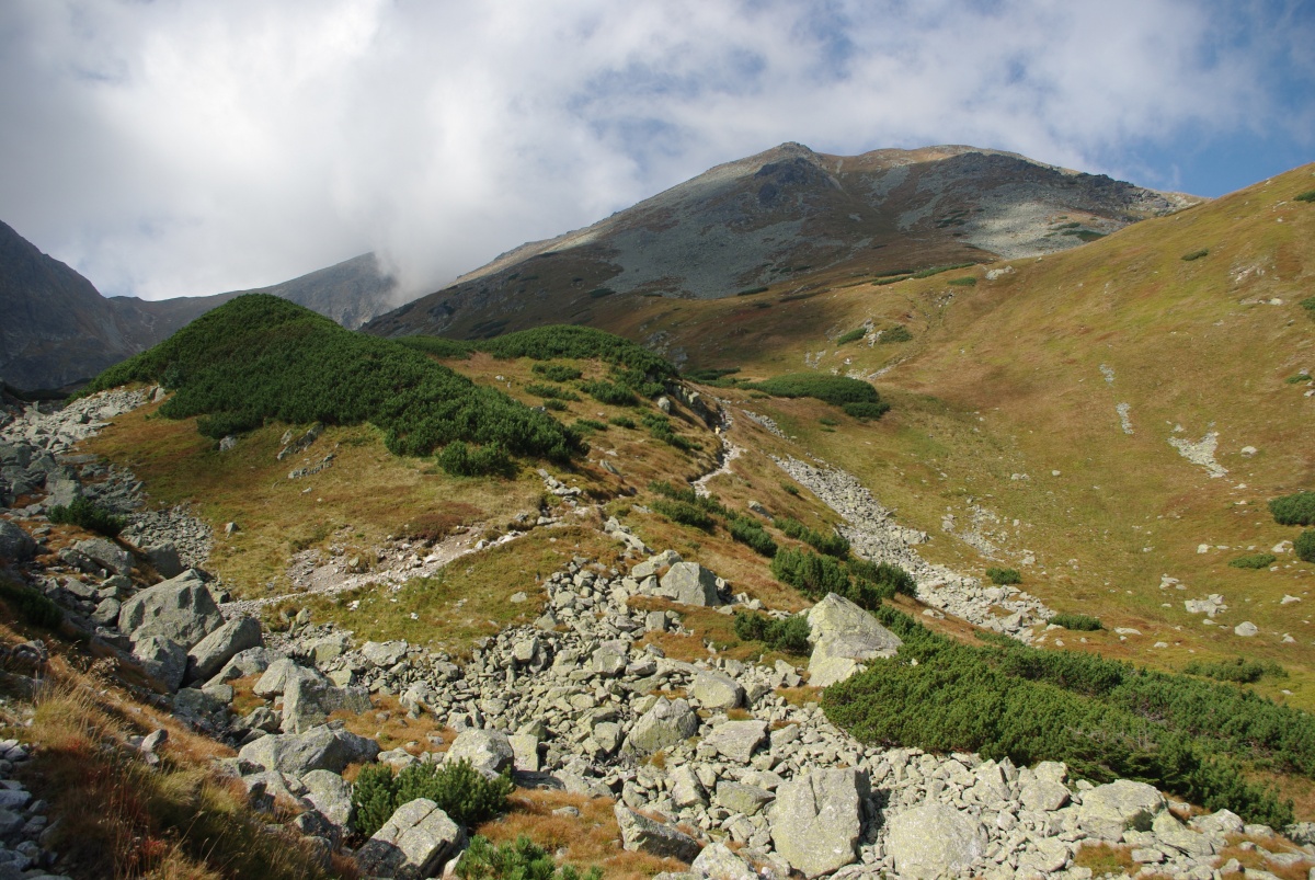4110 518 Zapadni Tatry - Rohace