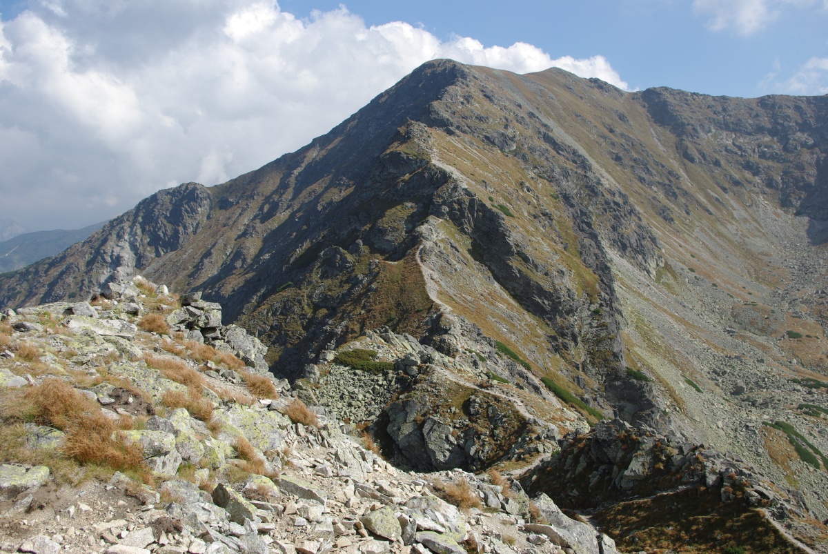 4460 571 Zapadni Tatry - Rohace