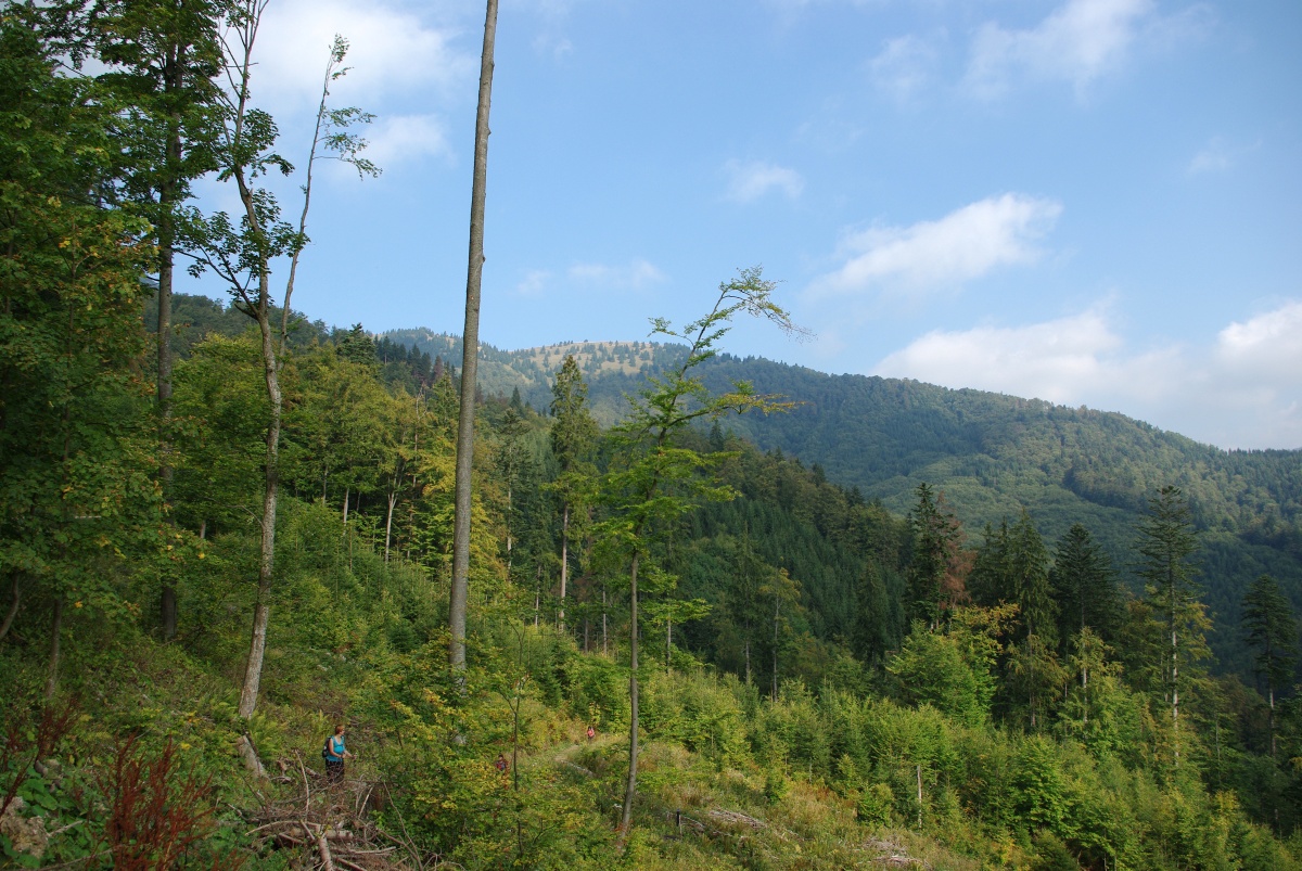 5040 706 Velka Fatra