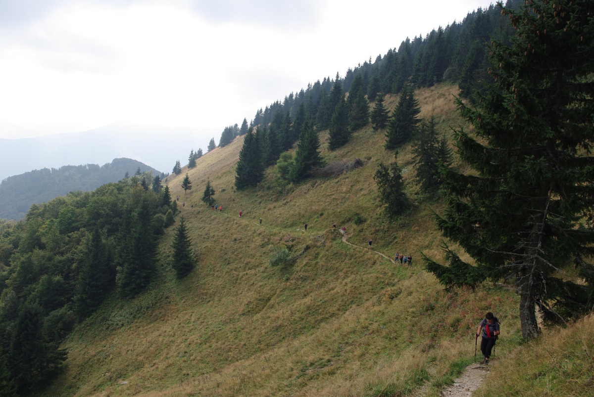 5100 715 Velka Fatra