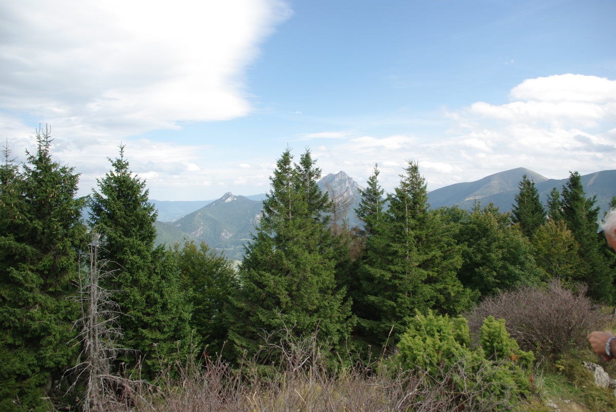 0570 054 Mala Fatra