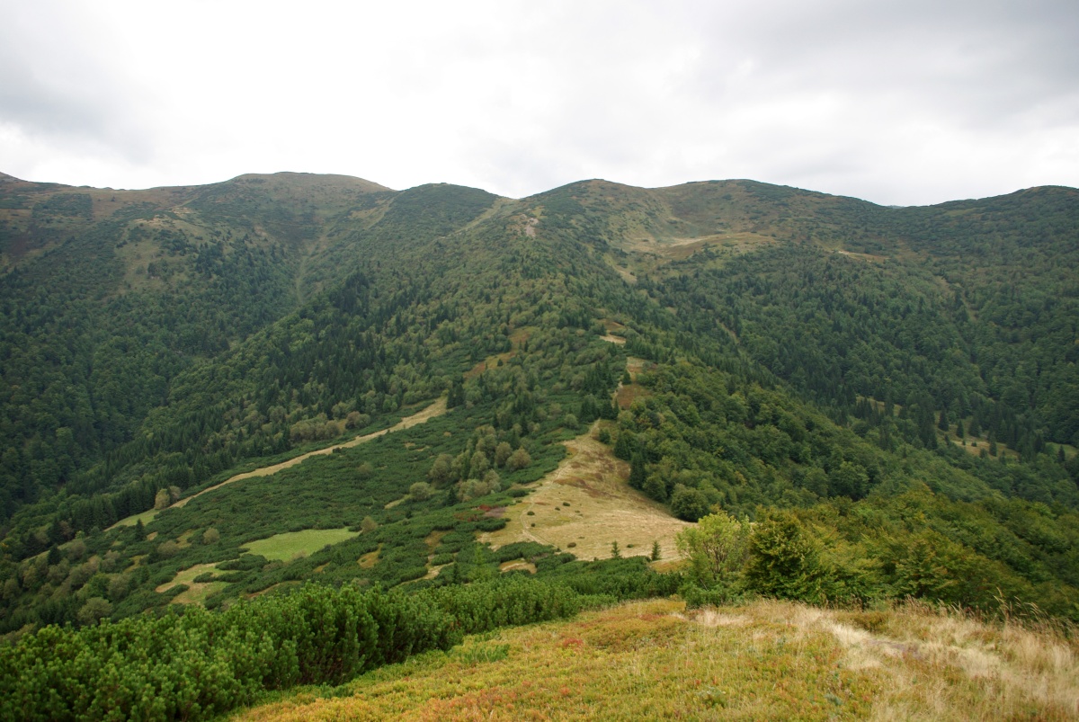0680 065 Mala Fatra