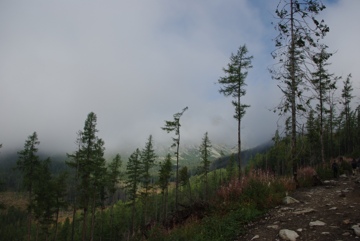 0830 071 Vysoke Tatry