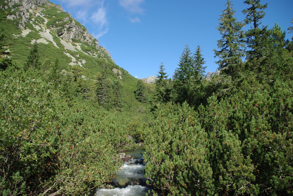 0890 077 Vysoke Tatry