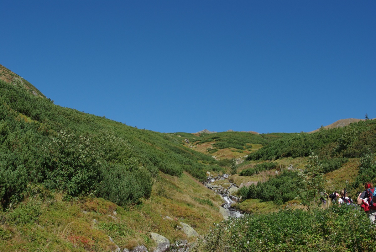 1520 133 Zapadni Tatry
