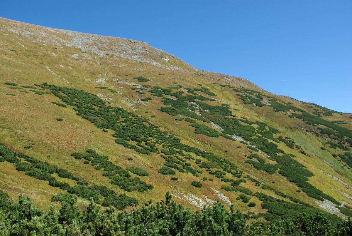 1780 159 Zapadni Tatry
