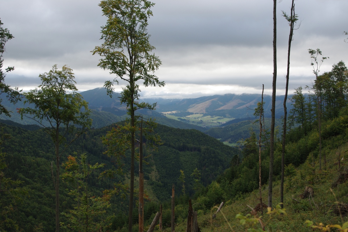 1920 166 Velka Fatra