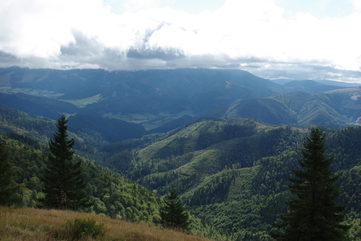 1990 173 Velka Fatra
