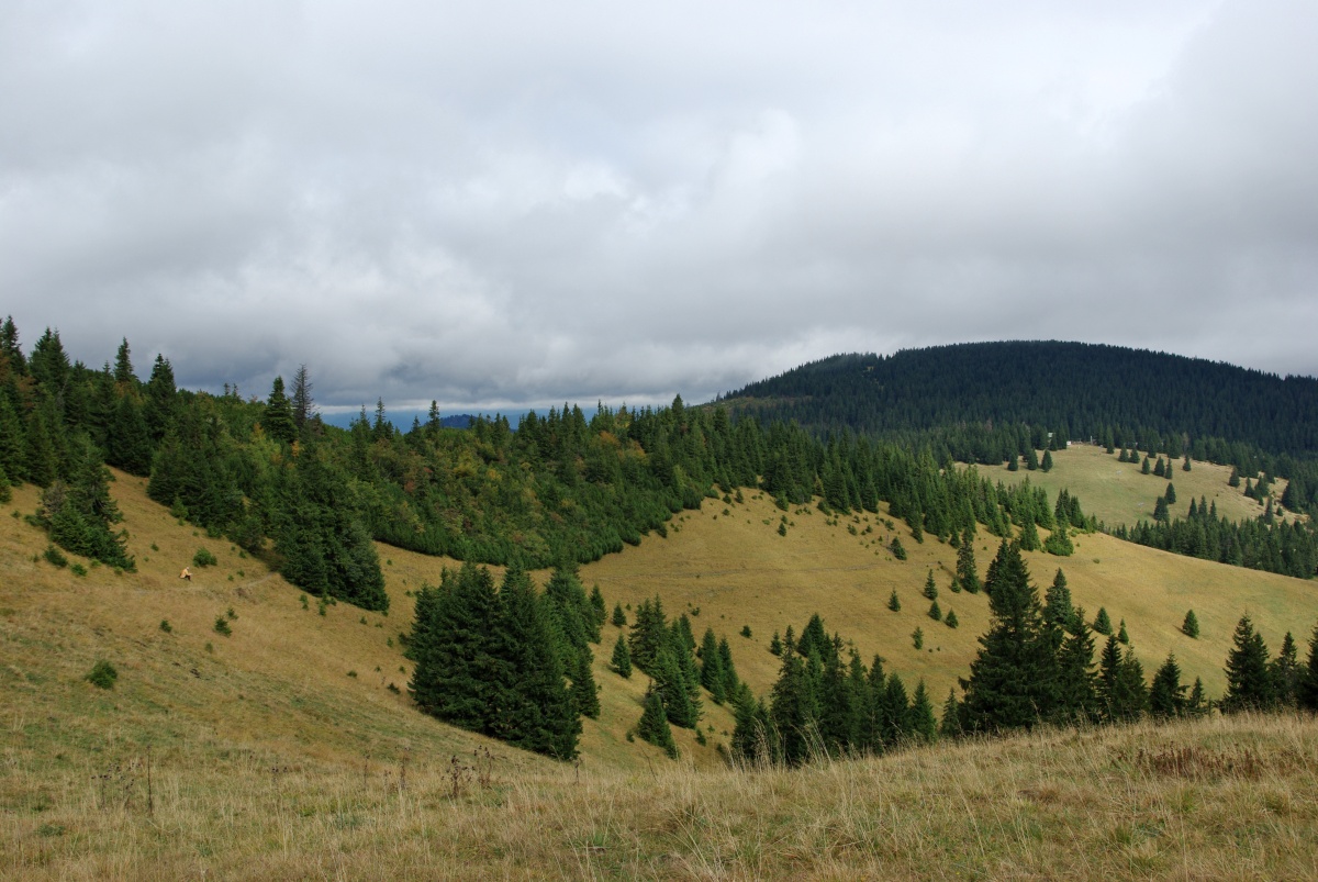 2010 175 Velka Fatra