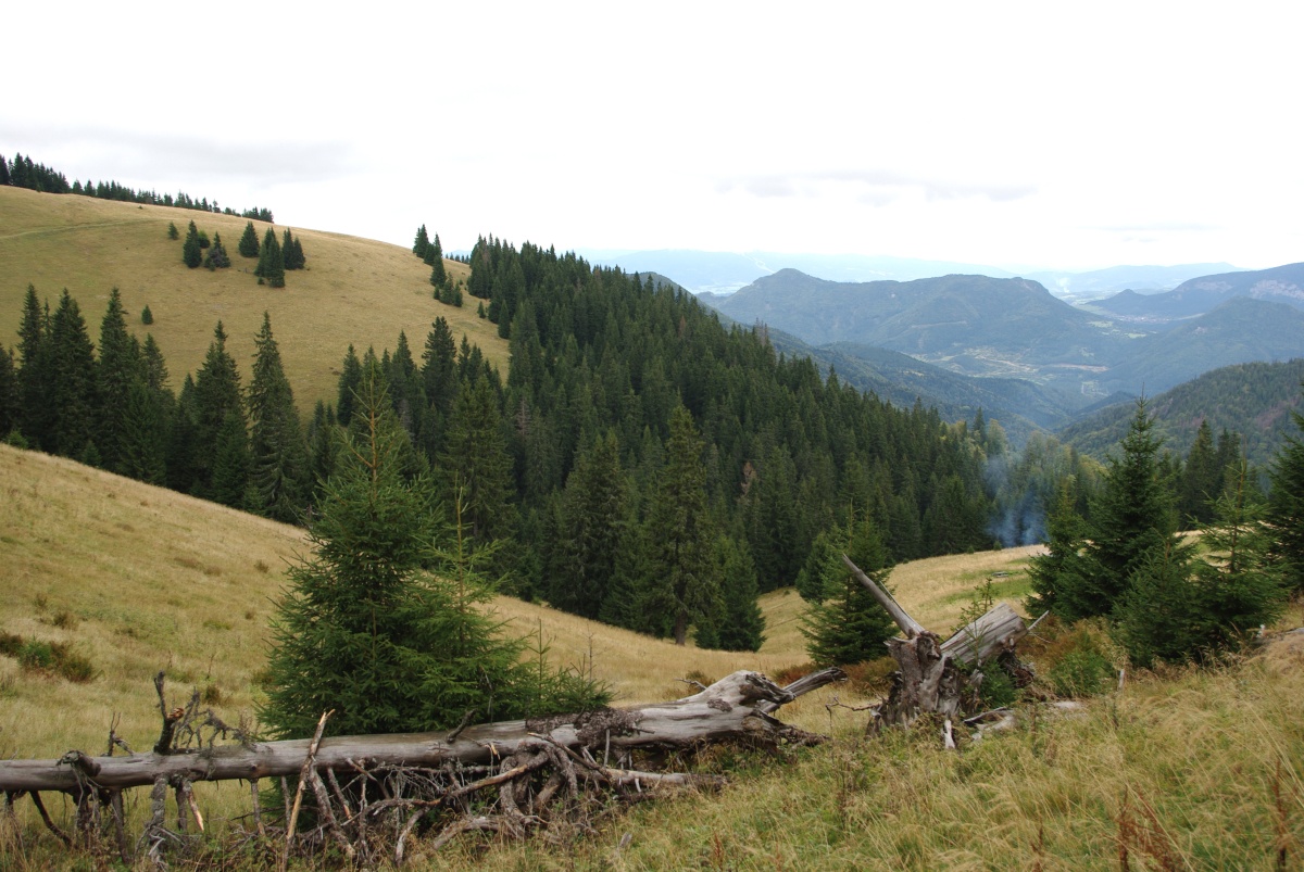 2090 183 Velka Fatra
