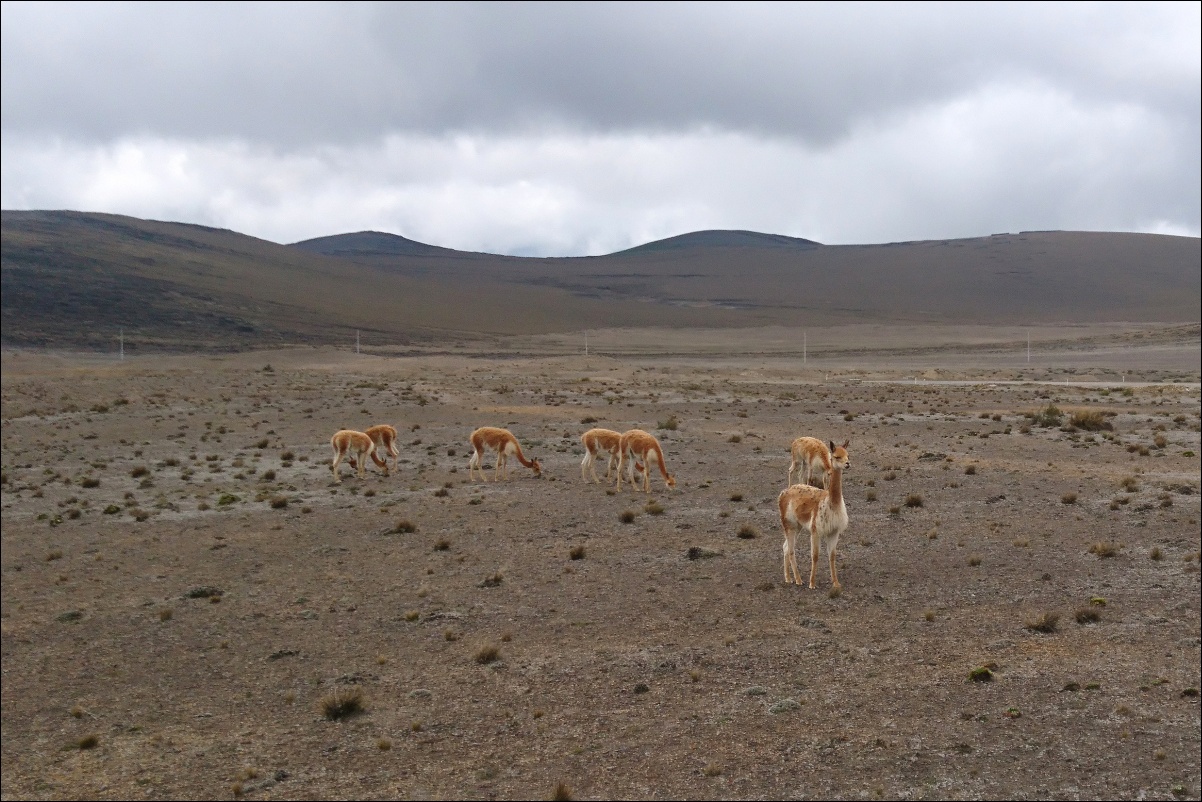 04340 04870 Riobamba, Chimborazo