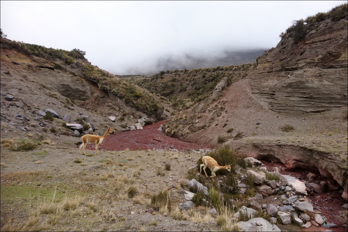 04343 04960 Riobamba, Chimborazo
