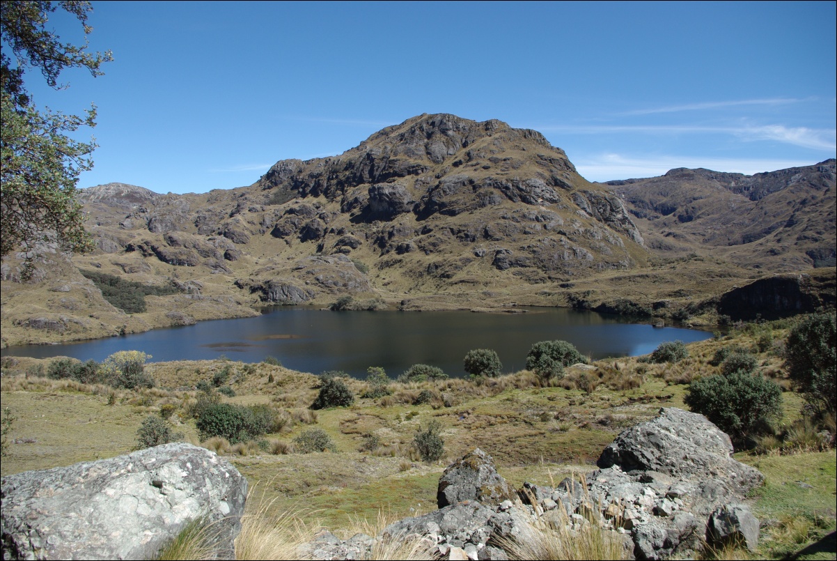 07630 07630 Cuenca, NP Cajas