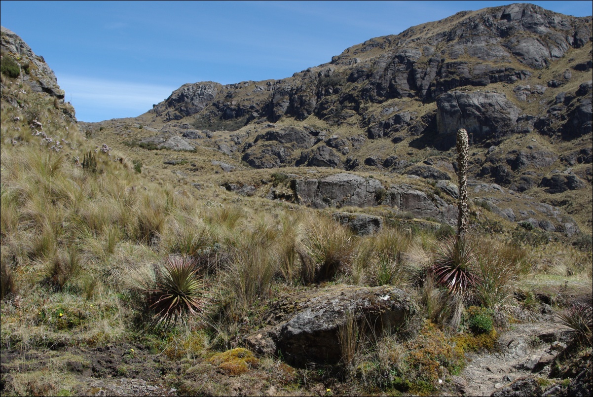 07730 07730 Cuenca, NP Cajas