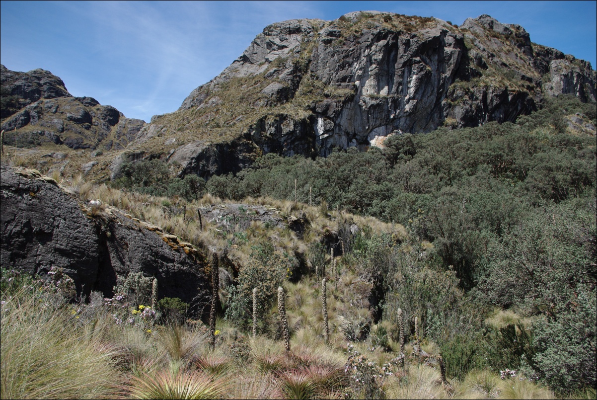 07880 07880 Cuenca, NP Cajas
