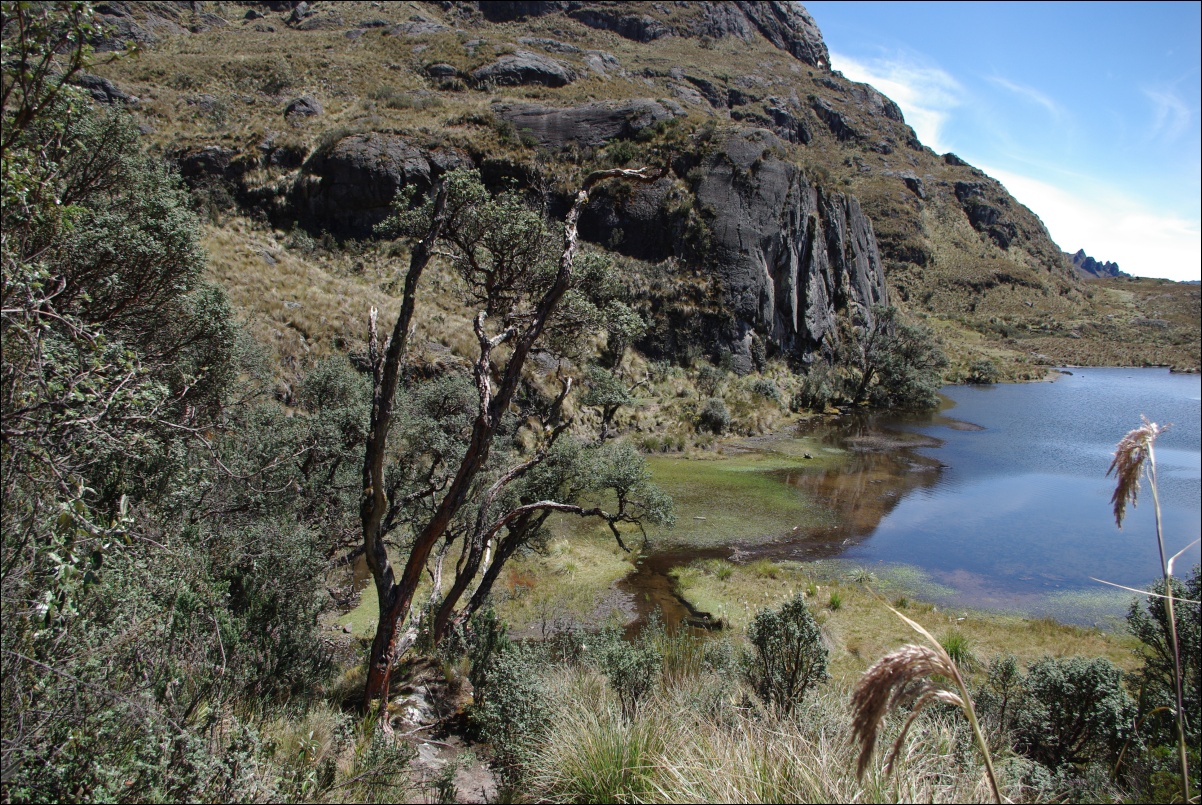 07890 07890 Cuenca, NP Cajas