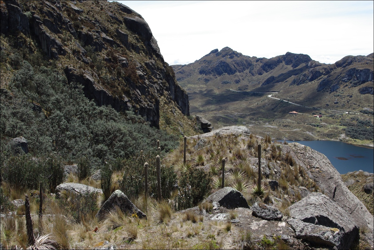 08080 08080 Cuenca, NP Cajas