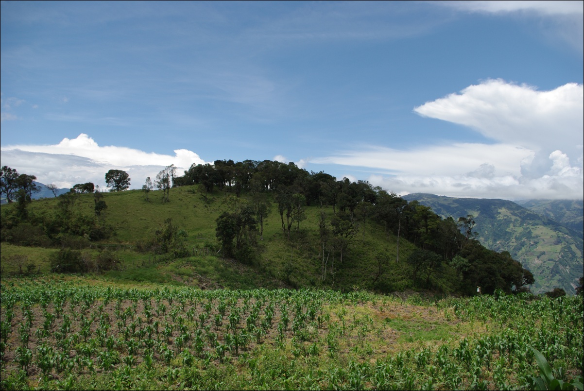 10027 09480 Banos, na Tunguraua