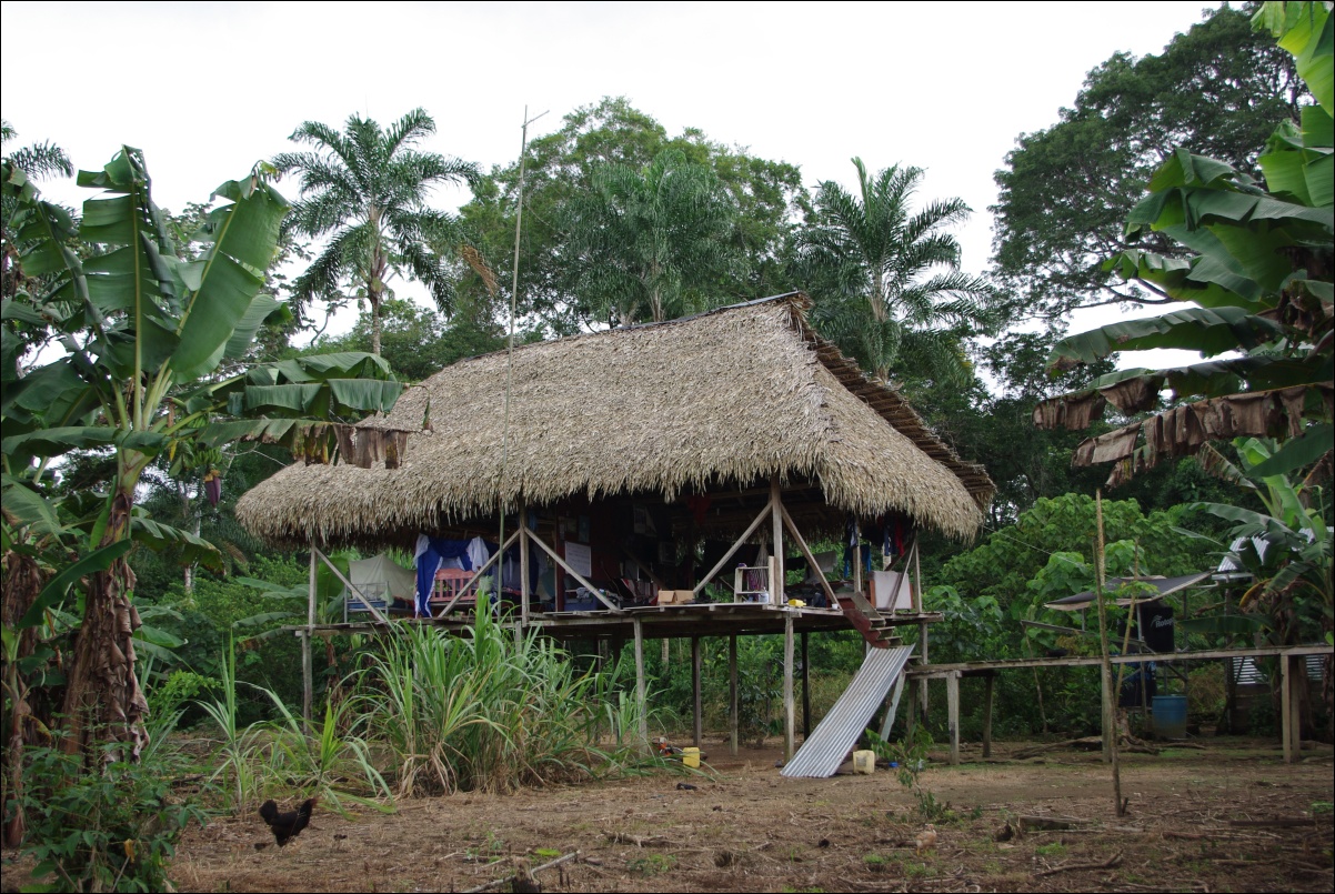 12220 12220 RPF Cuyabeno