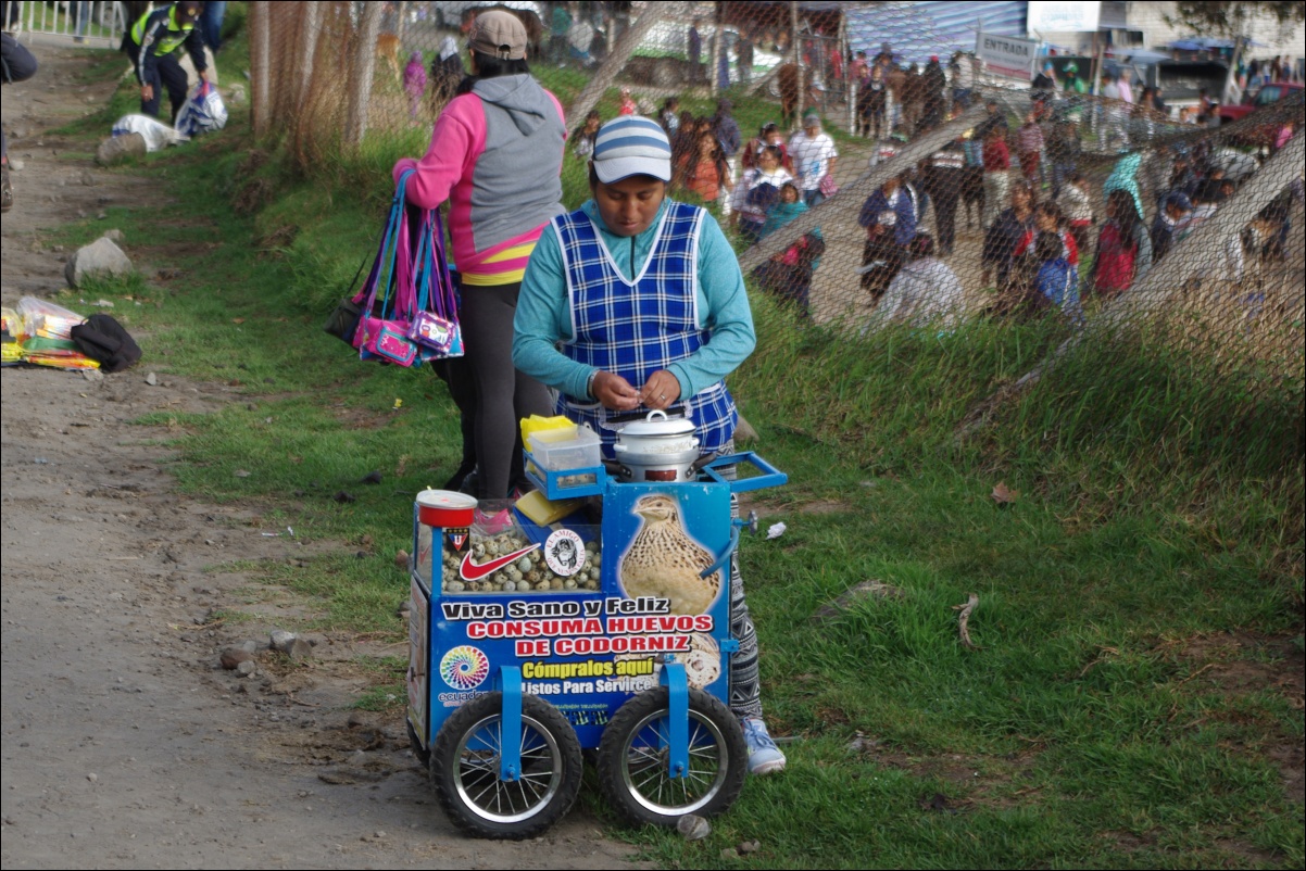 14775 14800 Otavalo