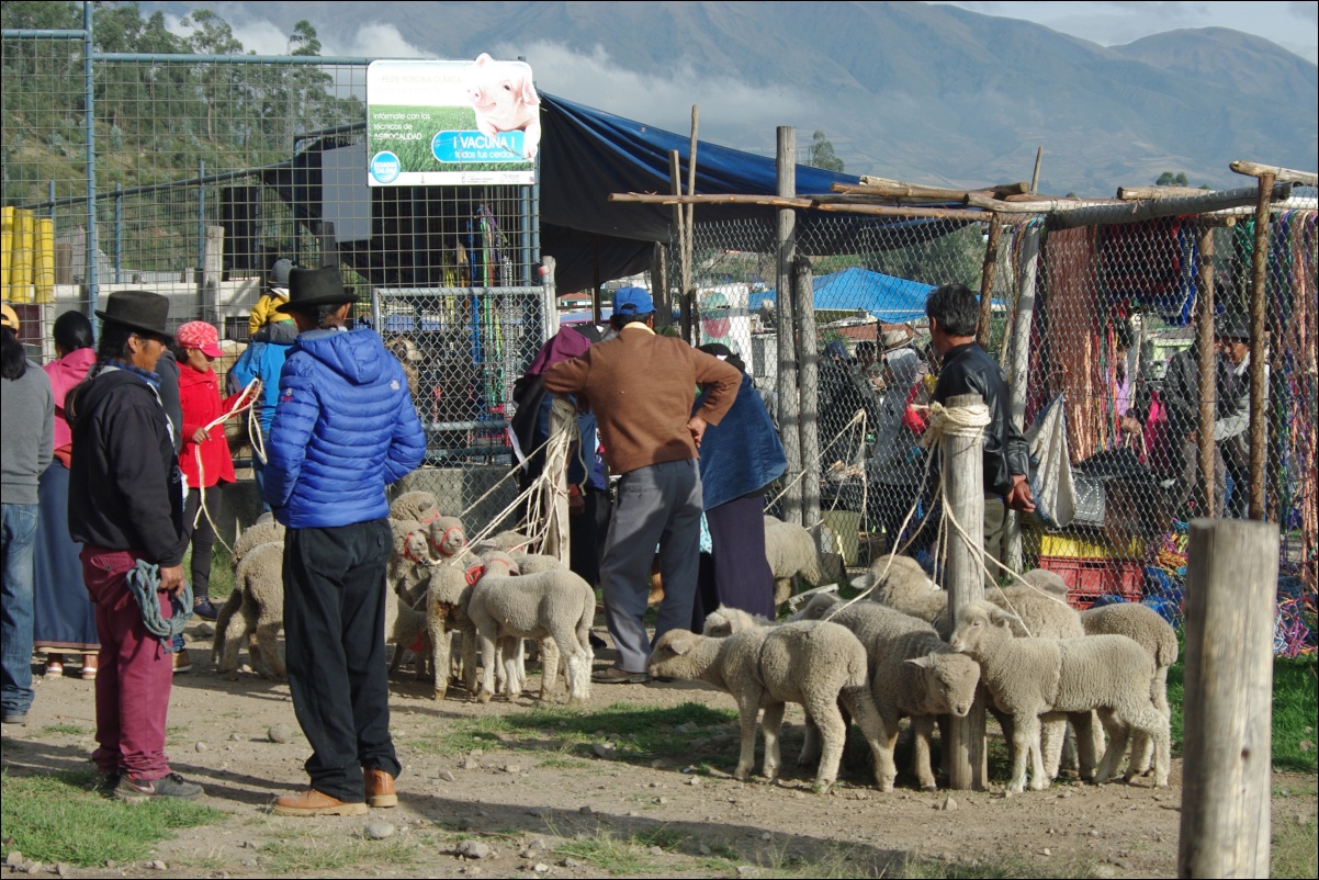 15040 15040 Otavalo