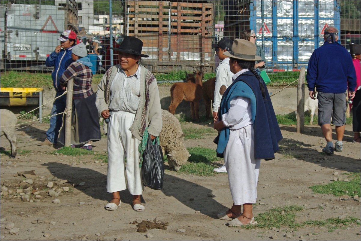 15050 15050 Otavalo