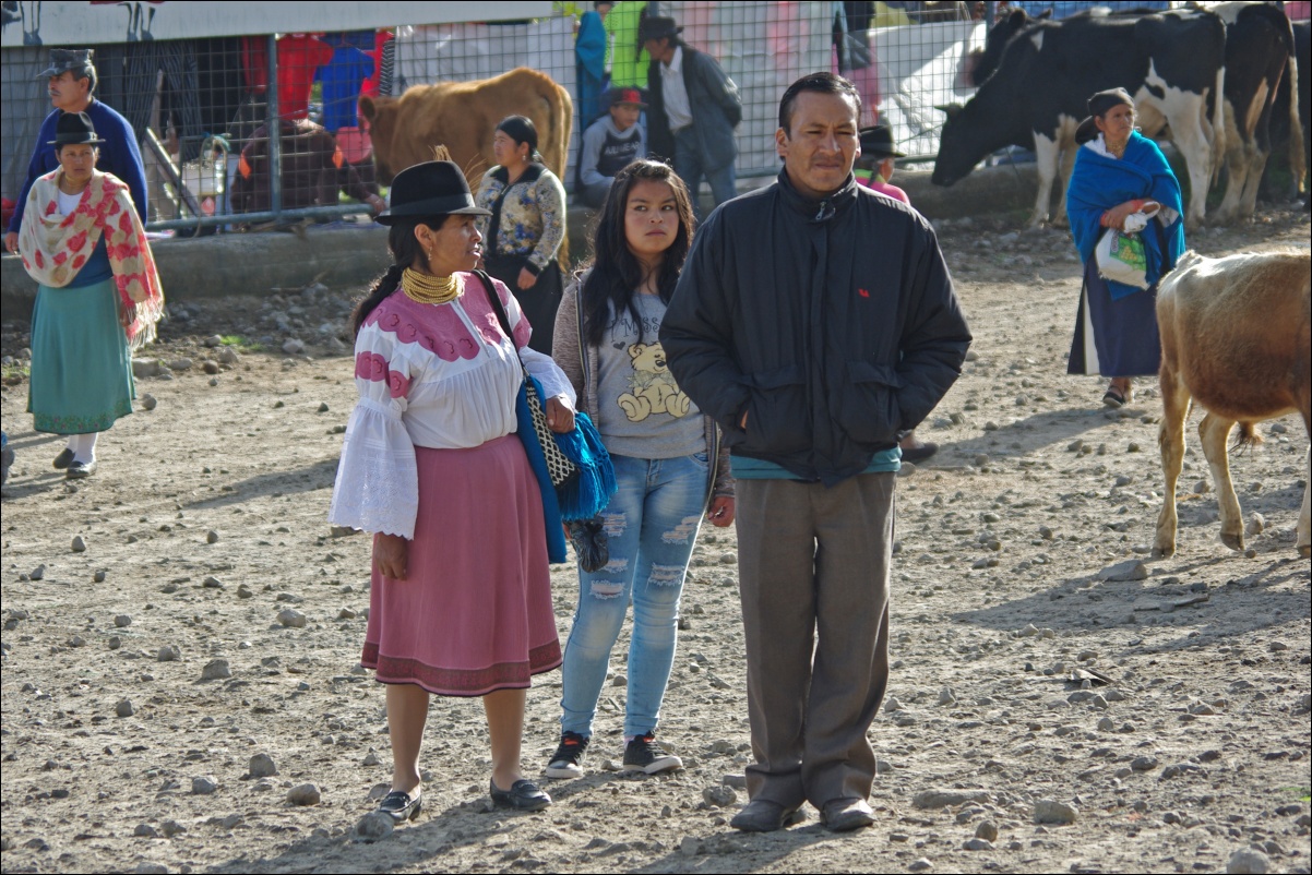15294 15190 Otavalo
