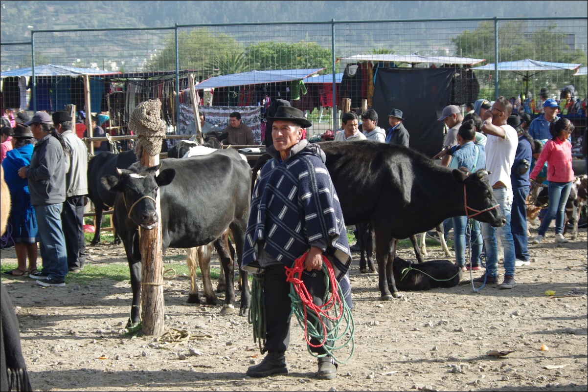 15297 15210 Otavalo