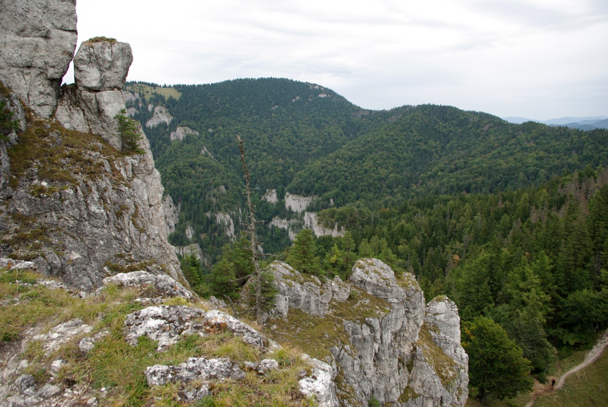 3140 Velka Fatra