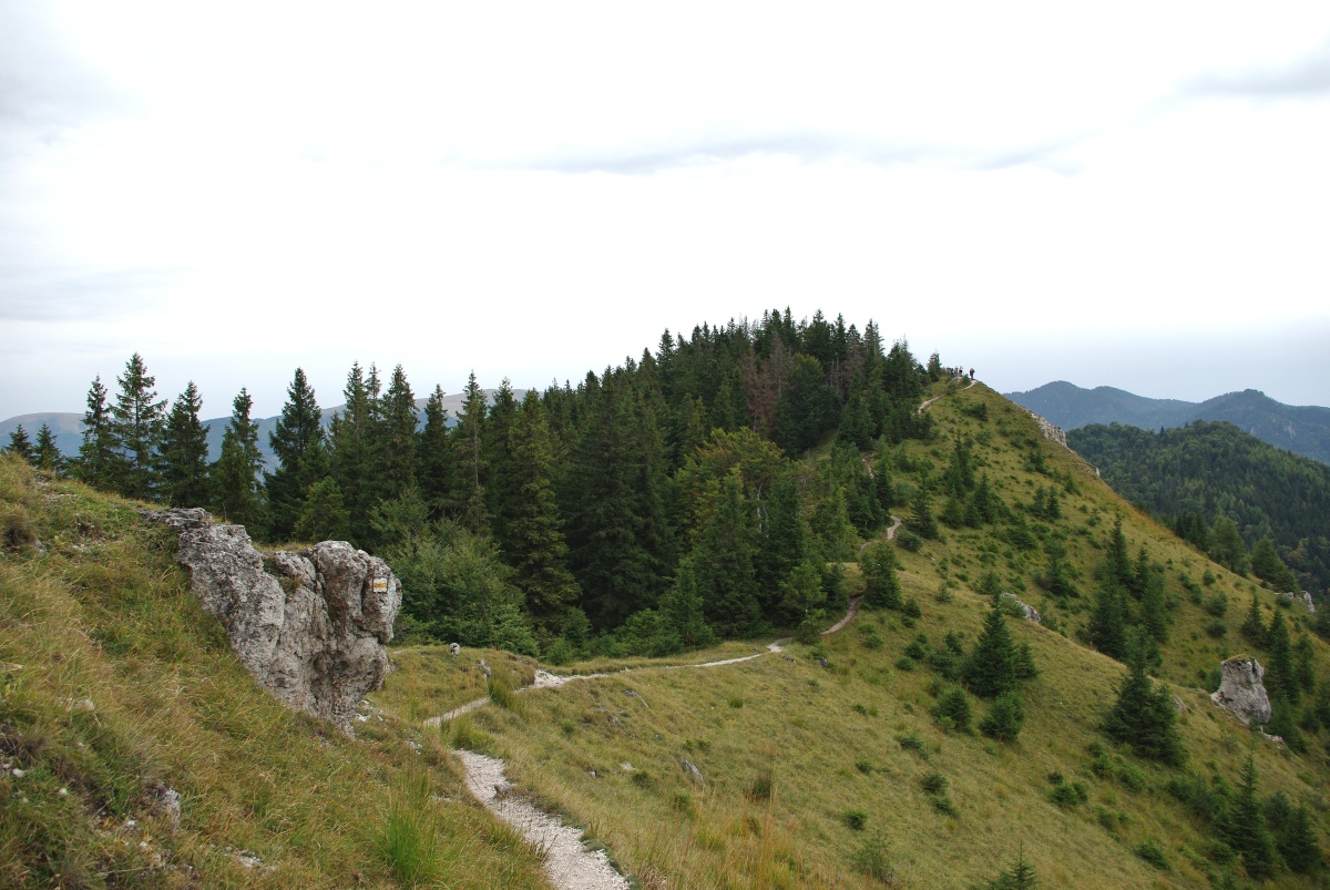 3290 Velka Fatra