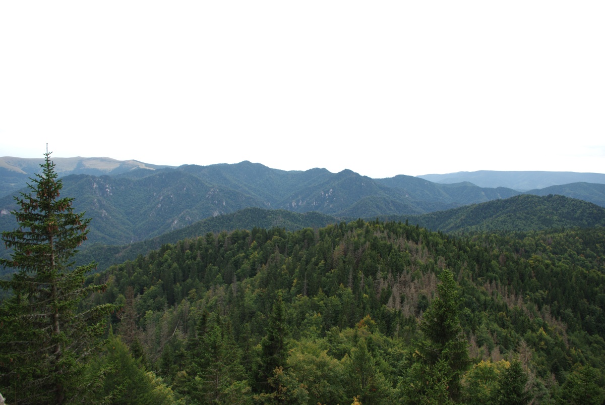 3340 Velka Fatra
