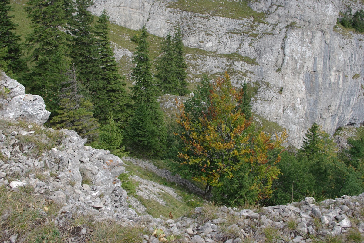 3500 Velka Fatra
