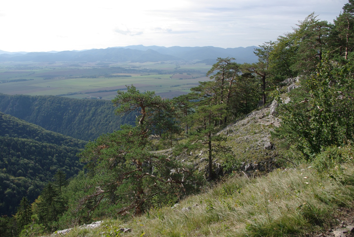 3510 Velka Fatra