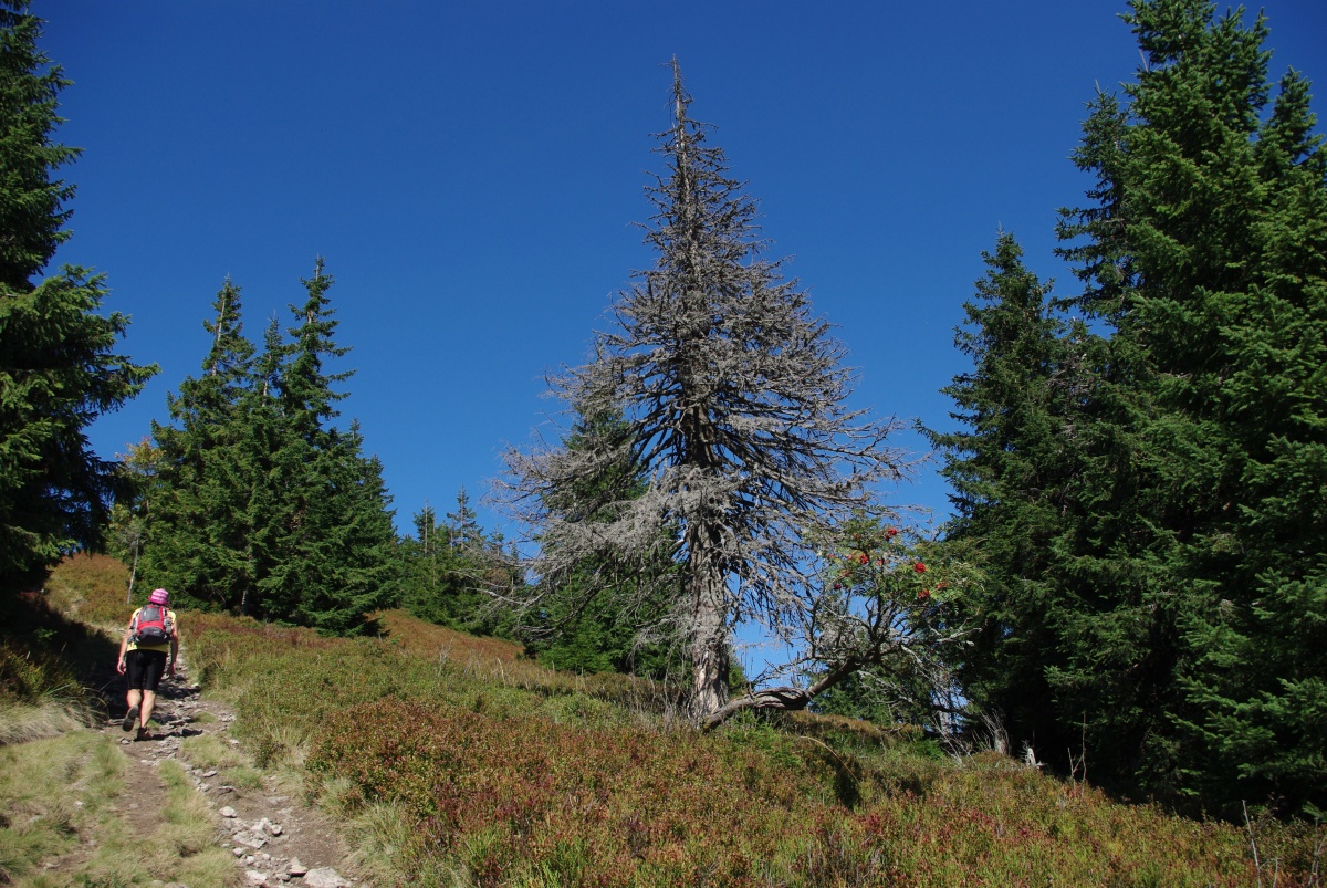 4190 Lucanska Mala Fatra