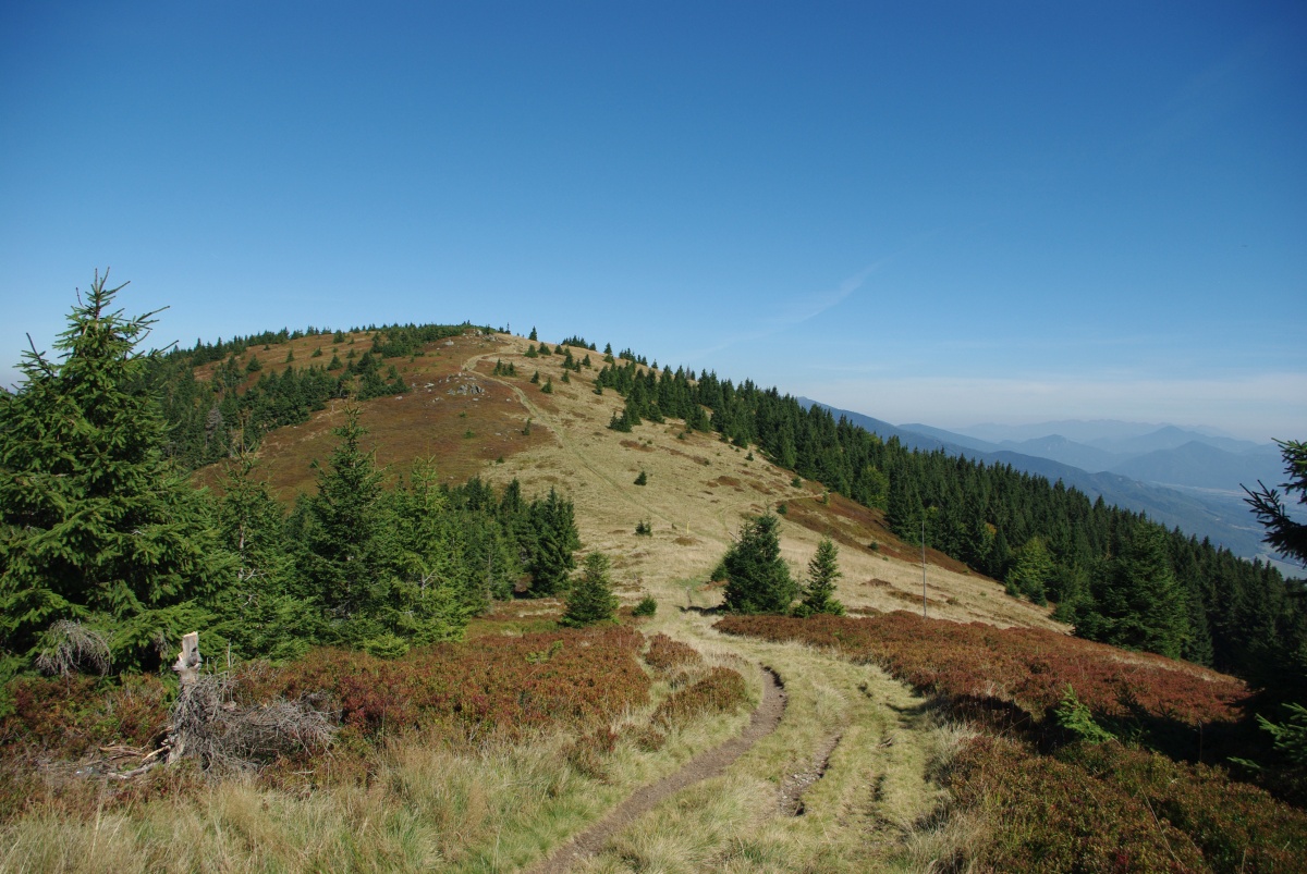 4250 Lucanska Mala Fatra