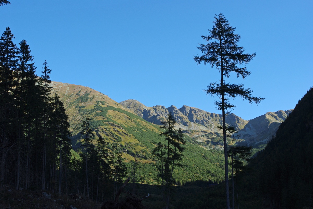 5040 Zapadni Tatry Rohace