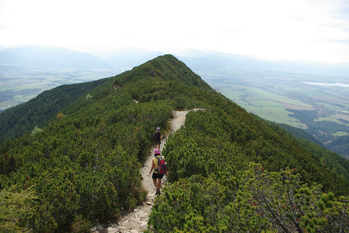 5520 Zapadni Tatry Rohace