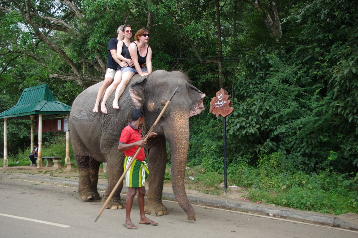 02950 0298 Sigiriya