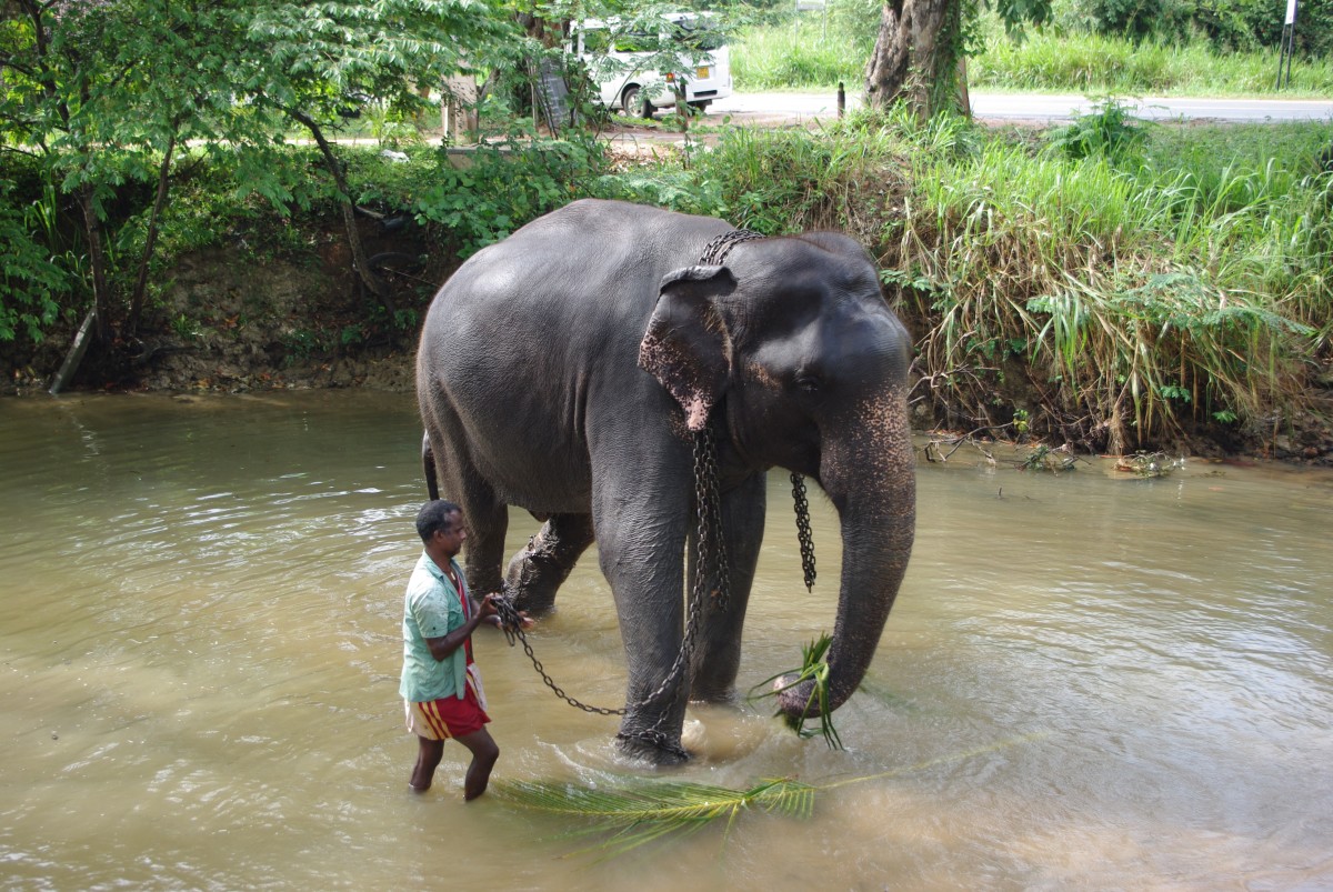 03240 0327 Sigiriya