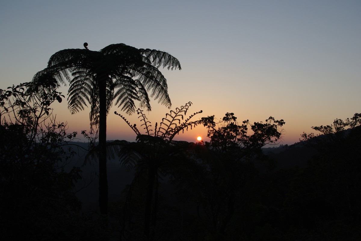 06400 0584 Nuwara Eliya, vylet na Horton Plains