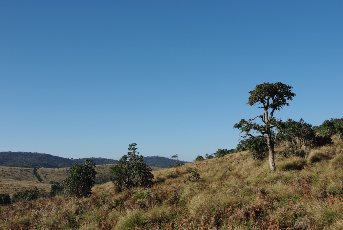 06510 0594 Nuwara Eliya, vylet na Horton Plains