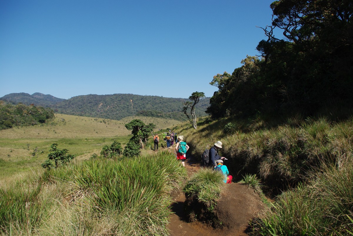 06930 0636 Nuwara Eliya, vylet na Horton Plains